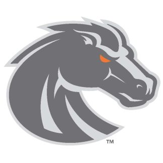 Boise State University - Sticker - Medium - New Bronco Logo - Grey-0